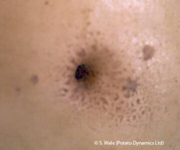 Dry core hole Dry core hole